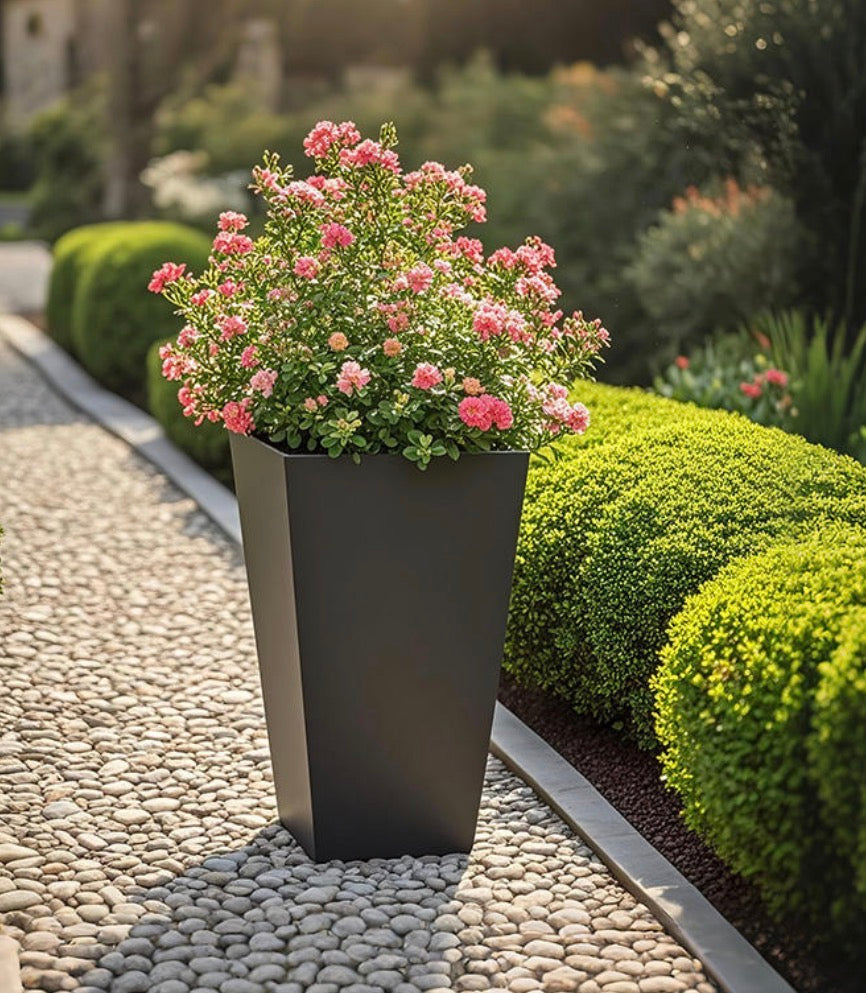 Gift White Plastic Flower Pots With Blooming Flowers – Decorative Planter For Housewarming & Birthday